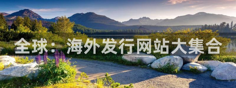 新宝GG子经理人杂志：全球：海外发行网站大集合