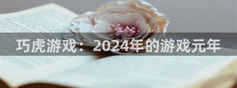 法国新宝GG官网：巧虎游戏：2024年的游戏元年