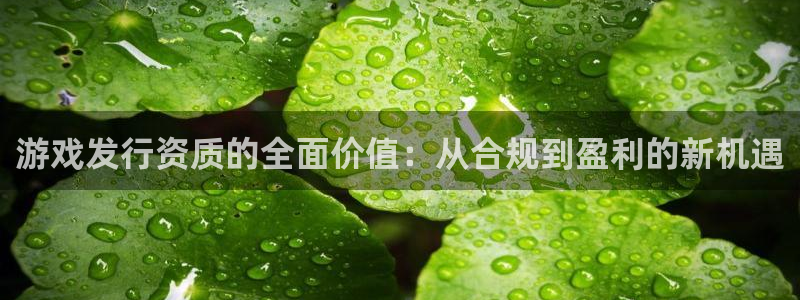法国新宝GG官网：游戏发行资质的全面价值：从合规到盈利的新机遇