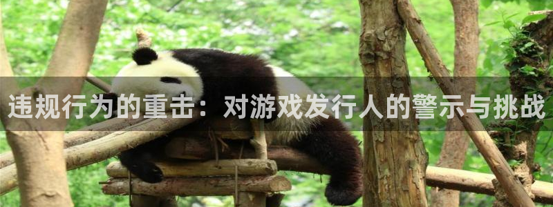 广东新宝GG营销策划有限公司：违规行为的重击：对游戏发行人的警示与挑战