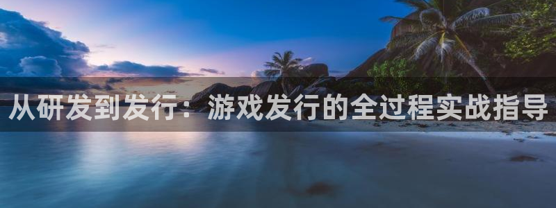 新宝GG技术有限公司：从研发到发行：游戏发行的全过程实战指导