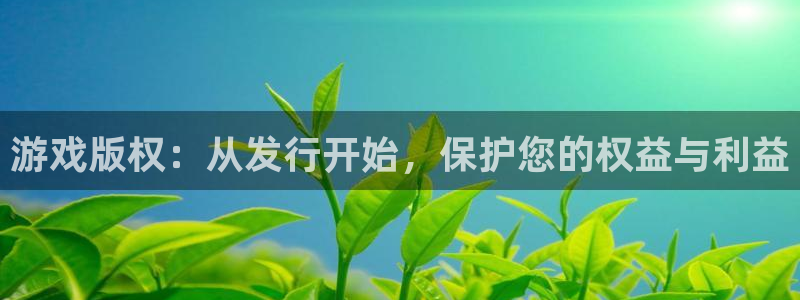新宝GG官网客服电话是多少：游戏版权：从发行开始，保护您的权益与利益