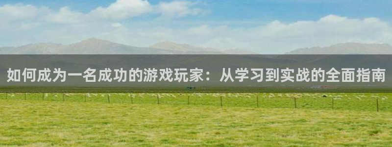 新宝GG官网登录注册不了：如何成为一名成功的游戏玩家：从学习到实战的全面指南