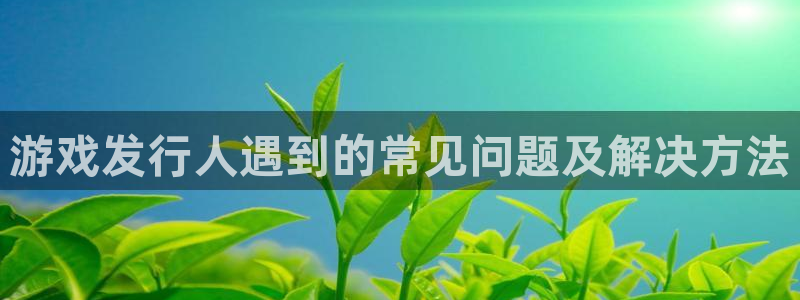 新宝GG子出版社董事长：游戏发行人遇到的常见问题及解决方法