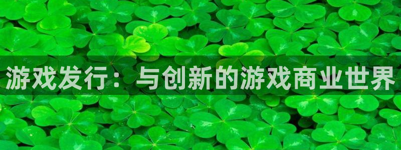 新宝GG的所有小说：游戏发行：与创新的游戏商业世界