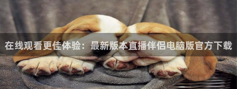 熊猫体育直播平台