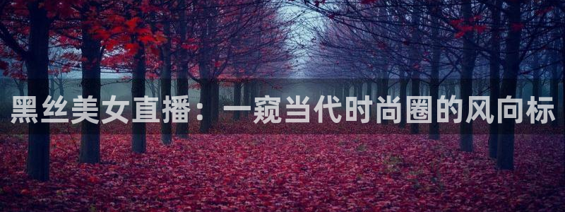 熊猫游戏直播：黑丝美女直播：一窥当代时尚圈的风向标