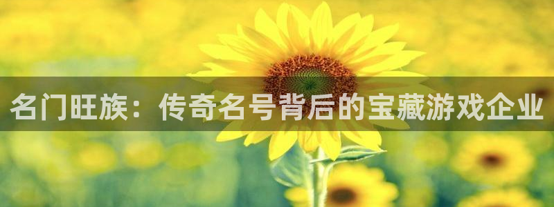 新宝GGlvnces是什么档次