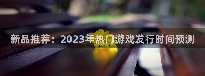 新宝GG官网登录注册账号是什么样的：新品推荐：2023年热门游戏发行时间预测