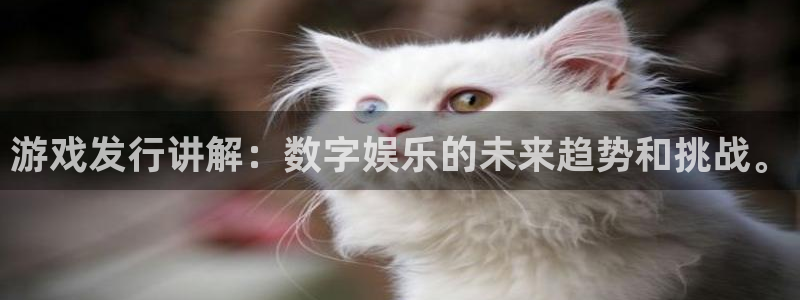 新宝GG电子商务有限公司怎么样：游戏发行讲解：数字娱乐的未来趋势和挑战。