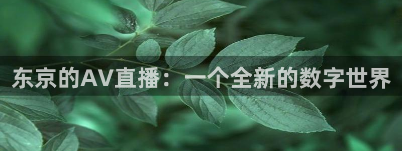 新闻图片
