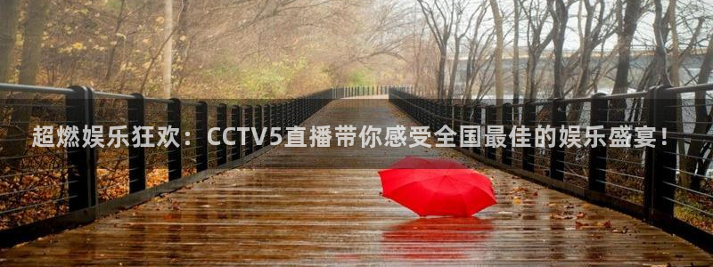 下载熊猫直播app：超燃娱乐狂欢：CCTV5直播带你感受全国最佳的娱乐盛宴！