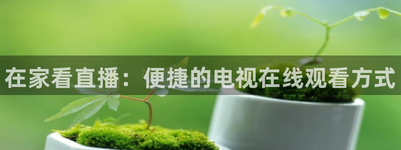 熊猫体育：在家看直播：便捷的电视在线观看方式