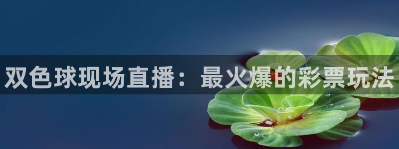 下载熊猫体育直播：双色球现场直播：最火爆的彩票玩法