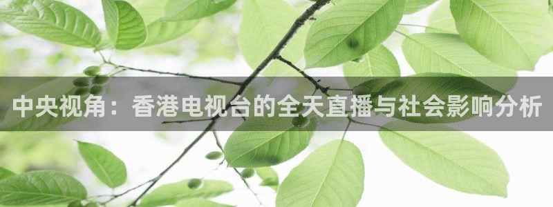 熊猫体育免费直播：中央视角：香港电视台的全天直播与社会影响分析